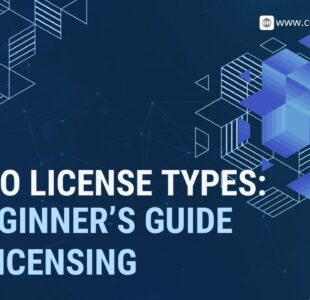 Cisco license types